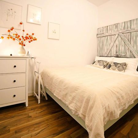 Jasmine Serenity Apartment - Central, Behind Black Church Brašov Exteriér fotografie